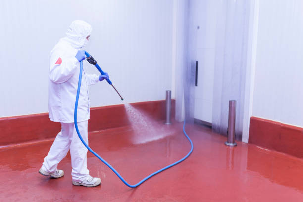 Best Patio and Deck Pressure Washing  in Garland, UT
