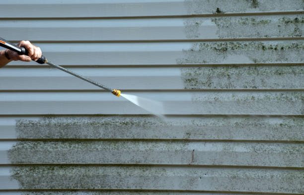Best Roof Washing  in Garland, UT